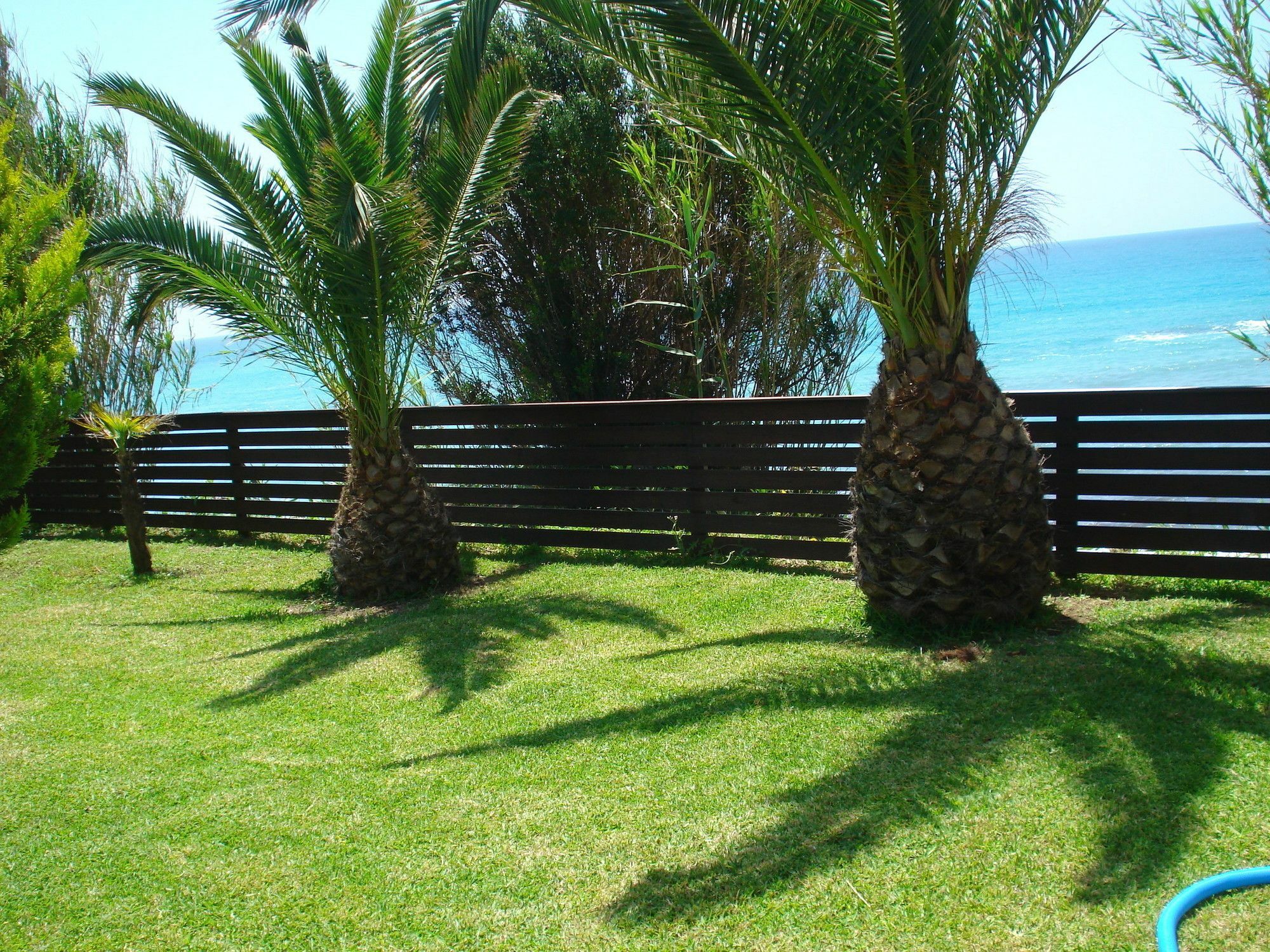 Sofia Studios Benitses (Corfu) Exterior foto